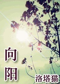 向陽